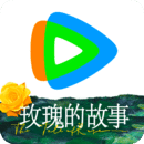 富家小姐的侍女脚仆